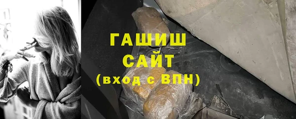 индика Инсар
