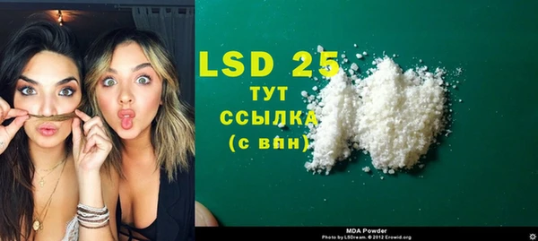 индика Инсар
