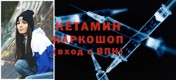индика Инсар