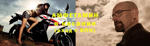 индика Инсар
