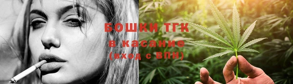 индика Инсар