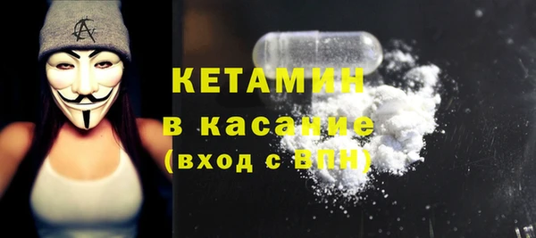 индика Инсар