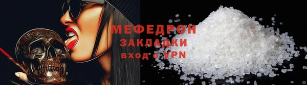 индика Инсар