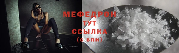 индика Инсар