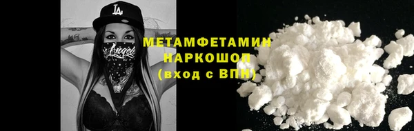 индика Инсар