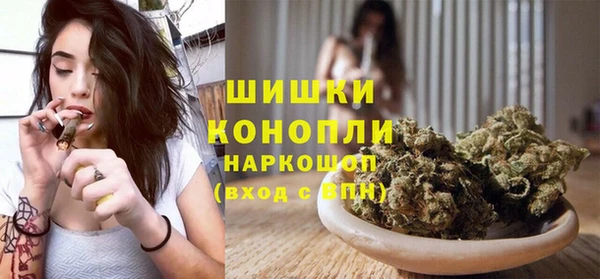 индика Инсар