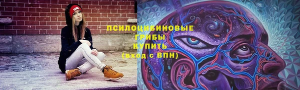индика Инсар