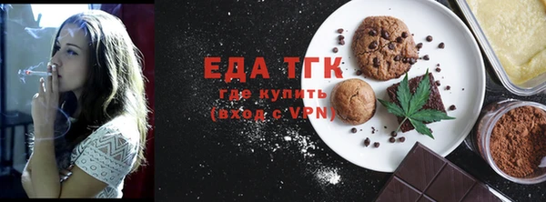 индика Инсар