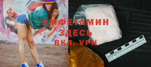 индика Инсар
